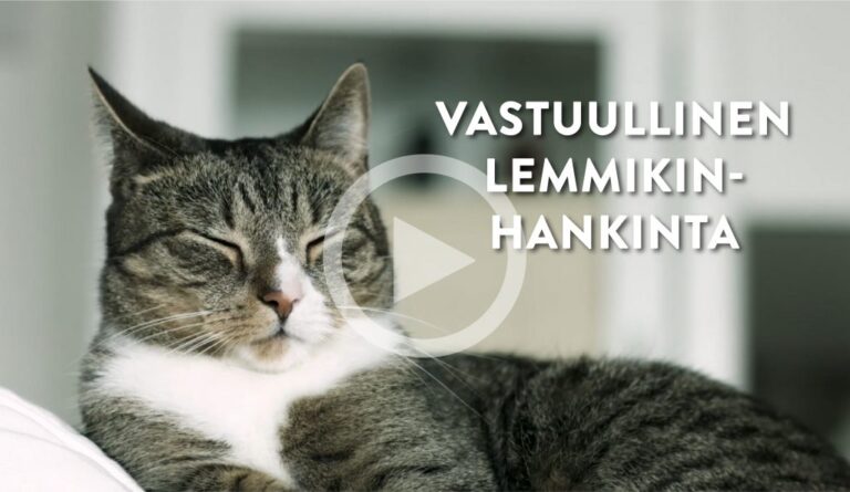 Videot: Vastuullinen lemmikinhankinta