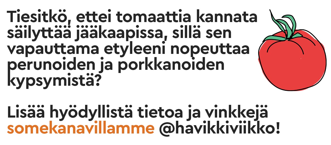 Kuvassa on piirros tomaatista, jonka vieressä lukee "Tiesitkö, ettei tomaattia kannata säilyttää jääkaapissa, sillä sen vapauttama etyleeni nopeuttaa perunoiden ja porkkanoiden kypsymistä? Lisää hyödyllistä tietoa ja vinkkejä somekanavillamme @havikkiviikko!