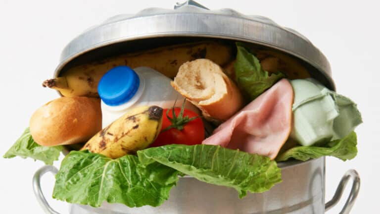 500 miljoonaa euroa vuosittain roskakoriin – mistä on kyse?