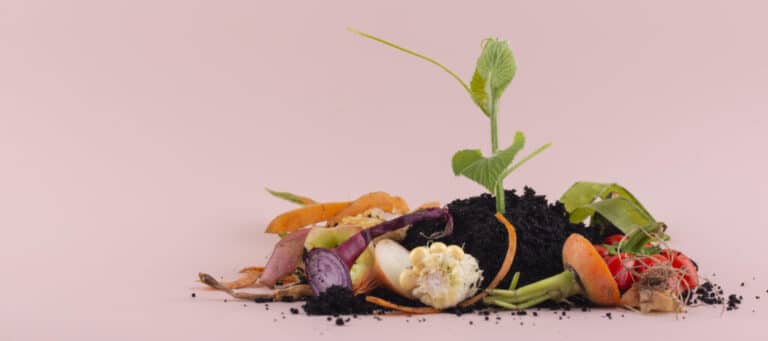 Biojätteiden kierrätyksestä arvokkaita ravinteita ruuantuotantoon