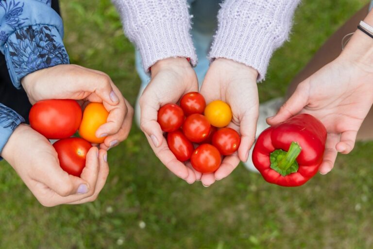 Hävikkiviikon vieraskynä: Herkkuja ja harkintaa – ruokahävikin vähentäminen alkaa jo kerhossa